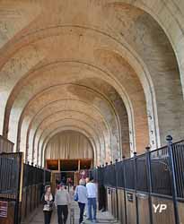 Musée du Cheval