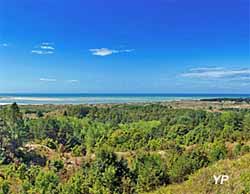 Étaples, cité des pêcheurs - Réserve naturelle nationale de la baie de Canche