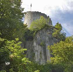 Tour des comtes de Genève