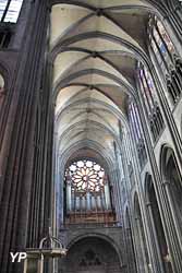Cathédrale Notre-Dame de l'Assomption - nef