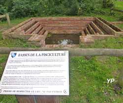 Bassin de pisciculture