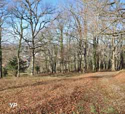 Pain de sucre, parc à daims