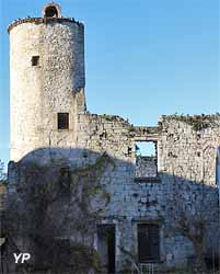 Pigeonnier de Coulomme (XVIIe s.)