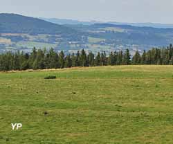Plateau de Georgovie