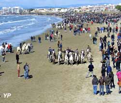 Abrivado de plages (doc. Dominique Demouy)