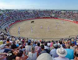 Station du Grau du Roi Port Camargue