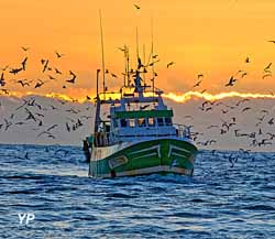 Station du Grau du Roi Port Camargue