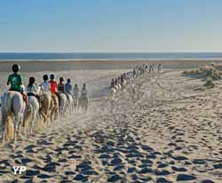 Station du Grau du Roi Port Camargue