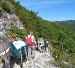 Rando en âne bâté