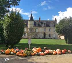 Concours de citrouille