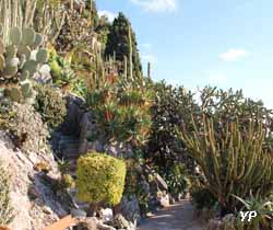 Jardin Exotique de Monaco