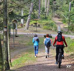 Office de tourisme Bruyères Vallons des Vosges (doc. Sylvie Da Sylva - Info Concept Saint-DIé)