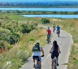 Visite de Palavas-les-Flots