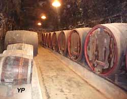 château de Brézé, salle des Foudres (2300 litres chaque)