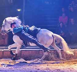 Haras national d'Hennebont