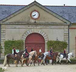 Haras national d'Hennebont