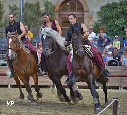 Haras national d'Hennebont