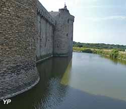 Château de Suscinio