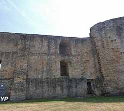 Château de Suscinio