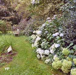 Hydrangeas 'Annabelle' 'Beauté Vendômoise et 'Ayesha' en septembre (Le Clos de Chanchore)