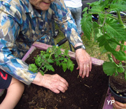 Le Joyeux Jardin Happy Garden