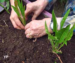 Le Joyeux Jardin Happy Garden