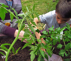 Le Joyeux Jardin Happy Garden