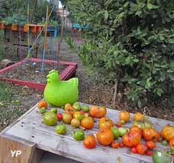Le Joyeux Jardin Happy Garden