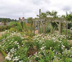 Église Saint Jean - jardin médiéval