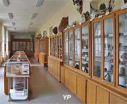 Musée des sciences naturelles