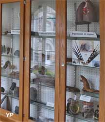 Musée des sciences naturelles