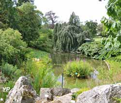 Jardin des Plantes