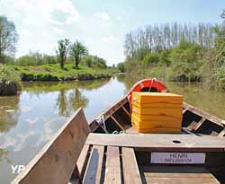 Le Marais de Saint-Omer