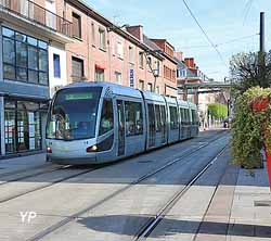 Tramway avenue des Dentellières