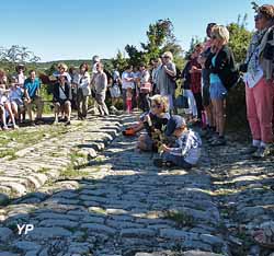 Site archéologique et musée d'Ambrussum