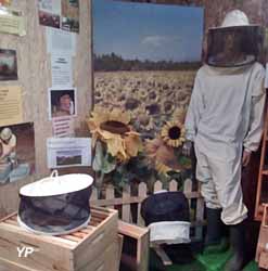 Musée des abeilles (doc. Lapi Culteur)