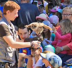 Parc Argonne Découverte - spectacle oiseaux