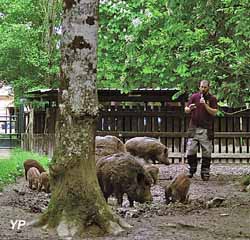 Réserve de Beaumarchais - Safari Train