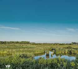Maison de la Baie de Somme