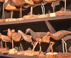 Salle consacrée aux Blettes