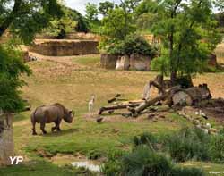 Vallée des rhinocéros