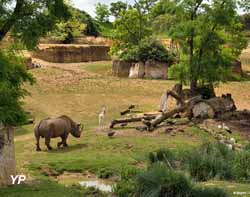 Vallée des rhinocéros