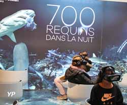 700 requins dans la nuit