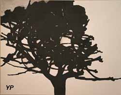 Le Grand Chêne de Viols-le-Fort (Alexandre Hollan, 2015)