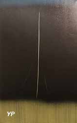 T.1964 (Hans Hartung, 1964)