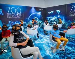 700 requins dans la nuit