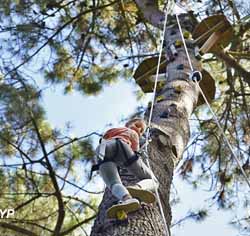 Vivons perchés - Parcours Aventure en forêt