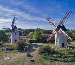 Moulins à vent jumeaux du Terrier Marteau