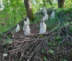 Les sentinelles de la forêt (Claudia Dietz)