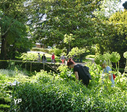 Jardin des Plantes